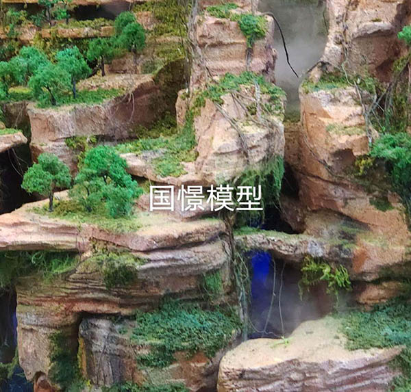 阜阳场景模型